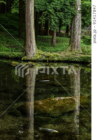 【兵庫】朝来市・和田山、刀我石部神社の鯉のいる神池は湧き水で美しい 91417847