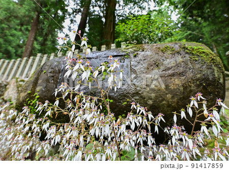 【兵庫】朝来市・和田山、刀我石部神社 【兵庫】朝来市・和田山、刀我石部神社 91417859