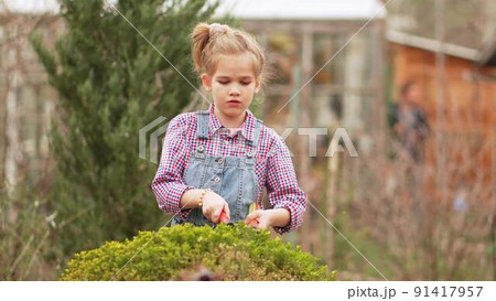 a funny little girl cuts bushes in the garden with large pruner. a funny little girl cuts bushes in the garden with large pruner. 91417957