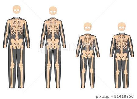 Set of Skeleton costume Human bones for whole family front view men women, boy, girl for Halloween, festivals 91419356