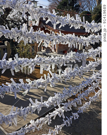 徳丸北野神社（板橋） 91419689