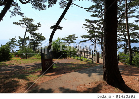 碁石海岸の景観 碁石海岸の景観 91420293