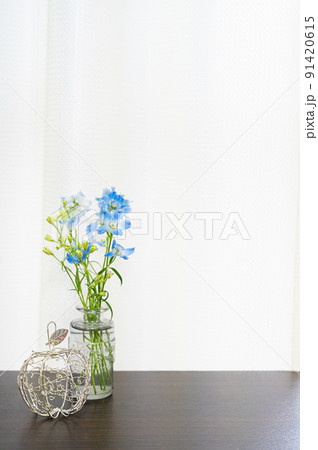 デルフィニウム 91420615