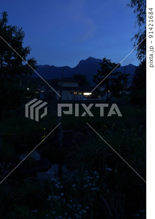 北杜市白州町、ホタル舞う夏の夕べ 91421684