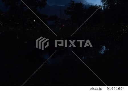 北杜市白州町、ホタル舞う夏の夕べ 北杜市白州町、ホタル舞う夏の夕べ 91421694