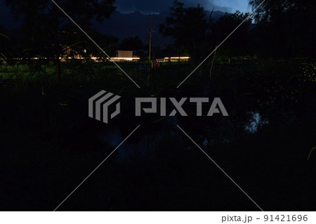 北杜市白州町、ホタル舞う夏の夕べ 北杜市白州町、ホタル舞う夏の夕べ 91421696