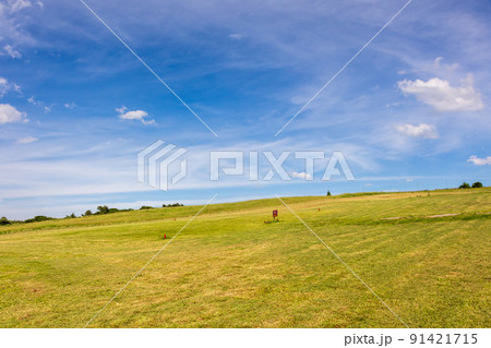 夏の嬬恋村 バラキ高原 夏の嬬恋村 バラキ高原 91421715