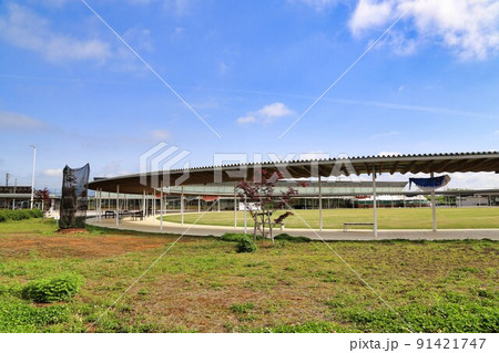 道の駅パレットピアおおの（岐阜県） 91421747