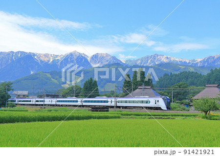 大糸線　盛夏の白馬山麓を行く特急あずさ 91421921