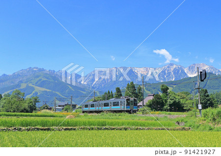 大糸線　盛夏の白馬山麓を行く普通列車 91421927