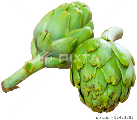 Fresh artichokes over white background Fresh artichokes over white background 91423383