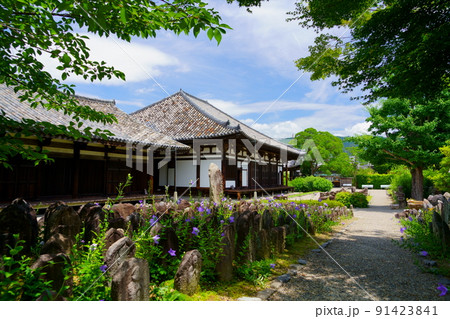 ならまち・元興寺・キキョウが開花した梅雨の晴れ間 ならまち・元興寺・キキョウが開花した梅雨の晴れ間 91423841