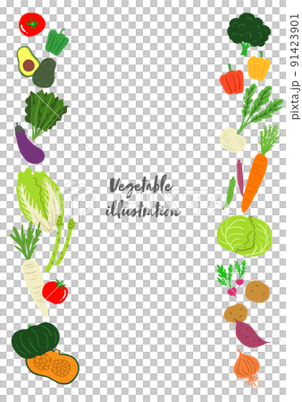 Vegetable illustration frame 91423901