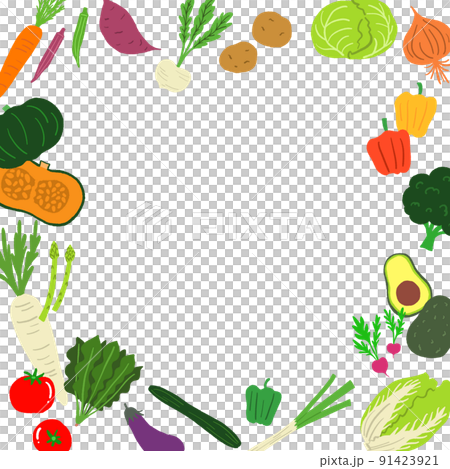 蔬菜插圖框架 91423921