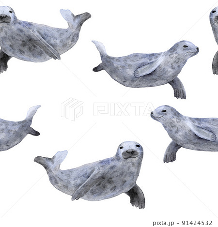 Hand drawn watercolor seamless pattern with seal. Sea ocean marine animal, nautical underwater endangered mammal species. Blue gray illustration for fabric nursery decor, under the sea prints. Hand drawn watercolor seamless pattern with seal. Sea ocean marine animal, nautical underwater endangered mammal species. Blue gray illustration for fabric nursery decor, under the sea prints. 91424532