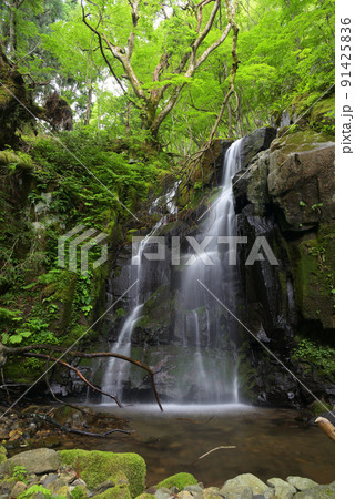 中の滝(兵庫県豊岡市日高町万場) 中の滝(兵庫県豊岡市日高町万場) 91425836