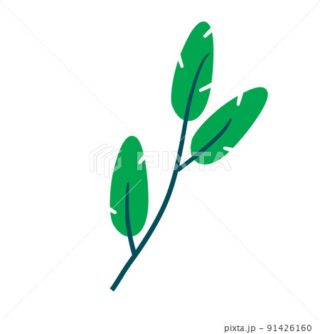 Branch with green leaves. Plant design 91426160
