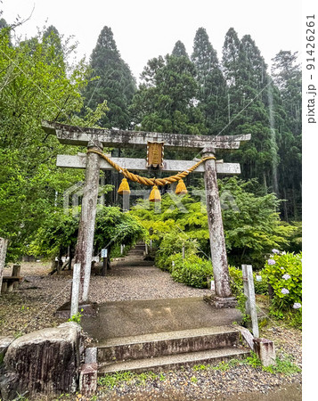 モネの池近くの根道神社_岐阜観光のインスタ映えスポット モネの池近くの根道神社_岐阜観光のインスタ映えスポット 91426261