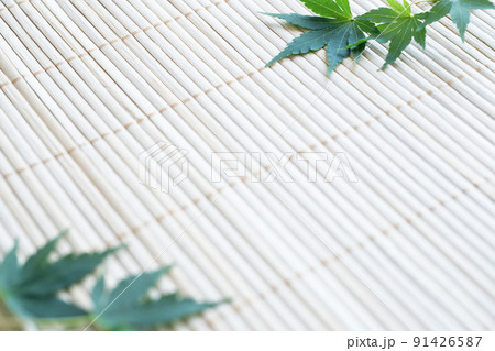 簾と青モミジ　夏の植物和風背景 91426587