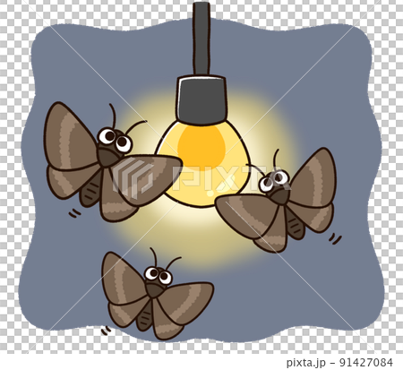 電球に集まる蛾 電球に集まる蛾 91427084