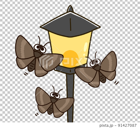 街灯に集まる蛾 街灯に集まる蛾 91427087