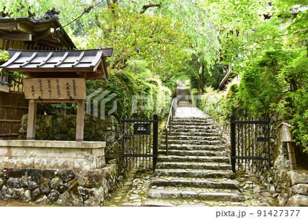 京都市 大原西陵入口と新緑 京都市 大原西陵入口と新緑 91427377