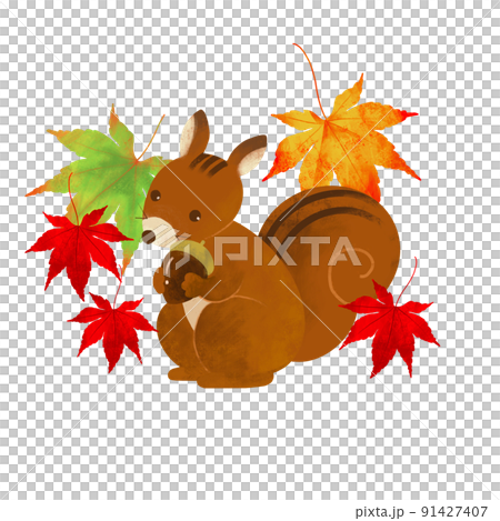 秋♪リスちゃん&どんぐり 秋♪リスちゃん&どんぐり 【公式通販】