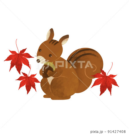 どんぐりを持ったリスと紅葉のかわいいイラスト 秋のイラスト素材