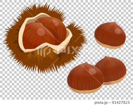 栗【※ベクターデータについてコメント欄をご確認ください】 91427823