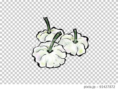 Illustration of Pattison of white western vegetables 91427872
