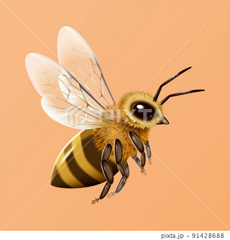 Flying honey bee 91428688