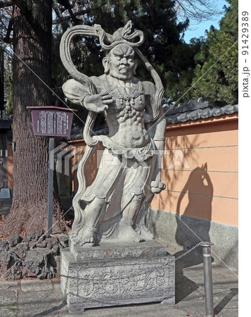 円福寺(板橋) 円福寺(板橋) 91429389
