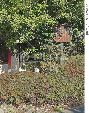 板橋宿平尾脇本陣豊田家（板橋） 91429812