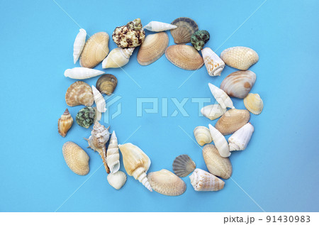 Different sea shells on a blue background. The concept of a beach sea holiday. Place for text Different sea shells on a blue background. The concept of a beach sea holiday. Place for text 91430983