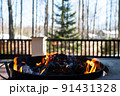 Barbecue grill with fire on open air close up 91431328