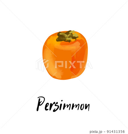 Illustration of a persimmon isolated on a white Illustration of a persimmon isolated on a white 91431356