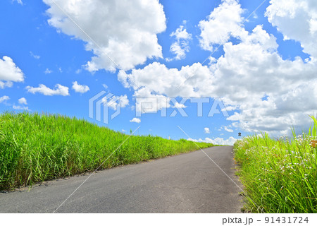 夏の空 夏の空 91431724