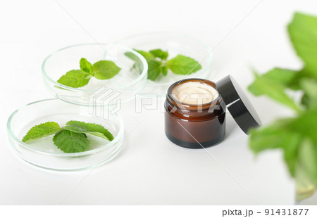herbal cosmetic cream and mint leaves in petri dish, natural cosmetics, laboratory developed face care, selective focus 91431877