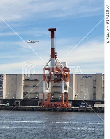 夏の青空に映える飛行機と白い雲、海のキリンの顔 91431907