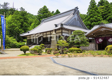 金剛證寺の満開の睡蓮 91432487