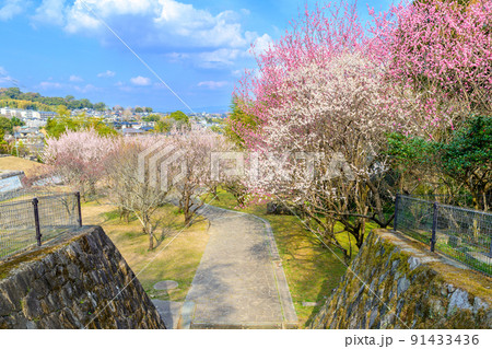 冬空と街並みを背景に美しい梅林公園風景 百梅園「有名な「兼坂止水」が私塾を開いた場所」 冬空と街並みを背景に美しい梅林公園風景 百梅園「有名な「兼坂止水」が私塾を開いた場所」 91433436