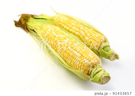 とうもろこし（ミルフィーユ） 91433657