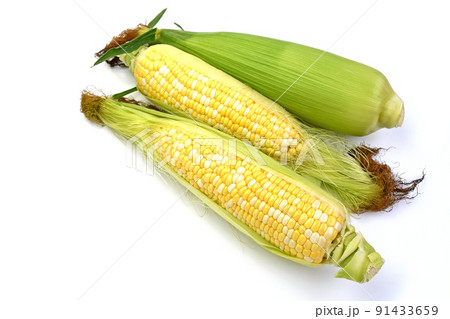 とうもろこし（ミルフィーユ） 91433659
