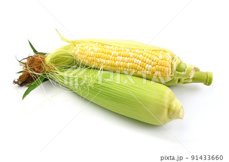 とうもろこし（ミルフィーユ） 91433660