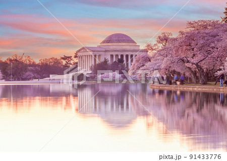 Cherry Blossom Festival in Washington, D.C. in USA 91433776