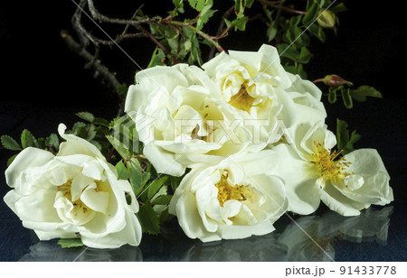 Bouquet of white roses on the table with reflection Bouquet of white roses on the table with reflection 91433778