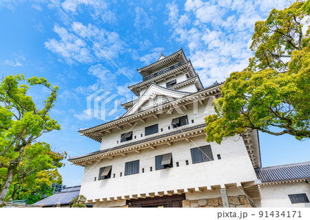 愛媛県今治市　日本100名城　晴天の今治城天守 91434171