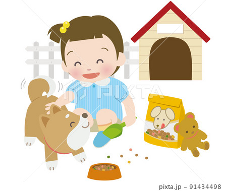 小さな女の子が柴犬に餌やり 91434498