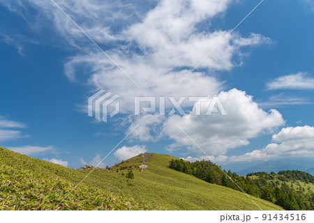 爽やかな富士見台高原 91434516