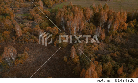 Autumn yellow and green forest in Ural 91434826